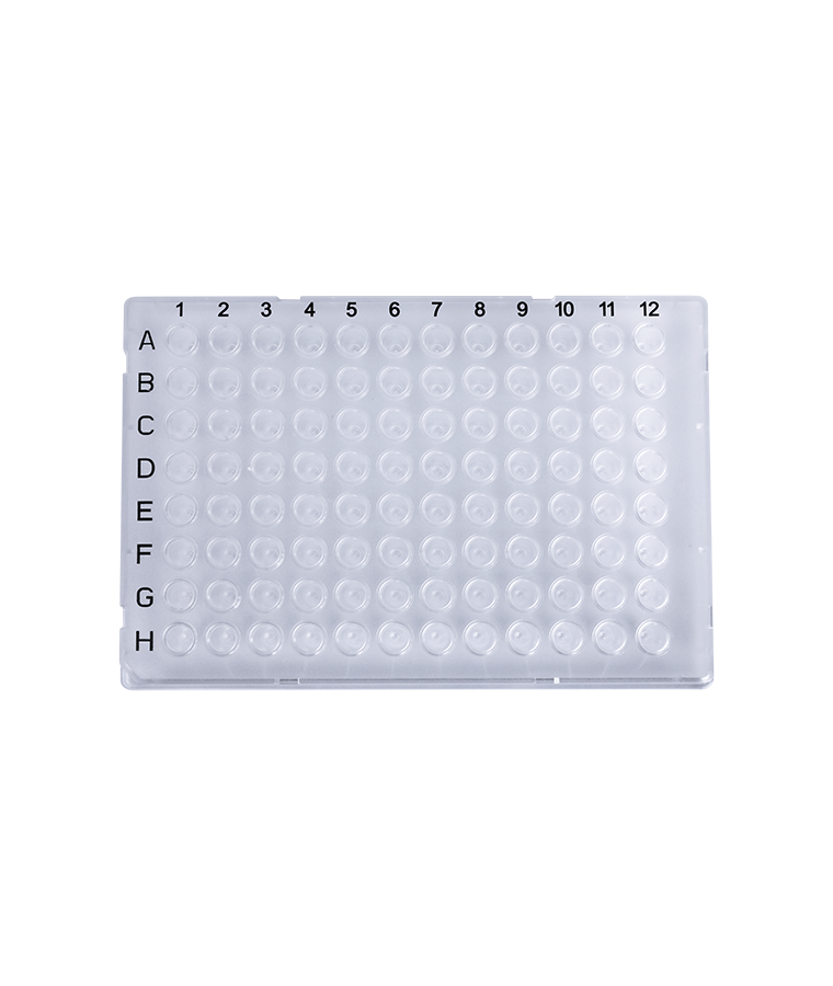PCR20-C-96-FS-BC 0.2ml clarum 96-pulchrum lacinia plena PCR lamina