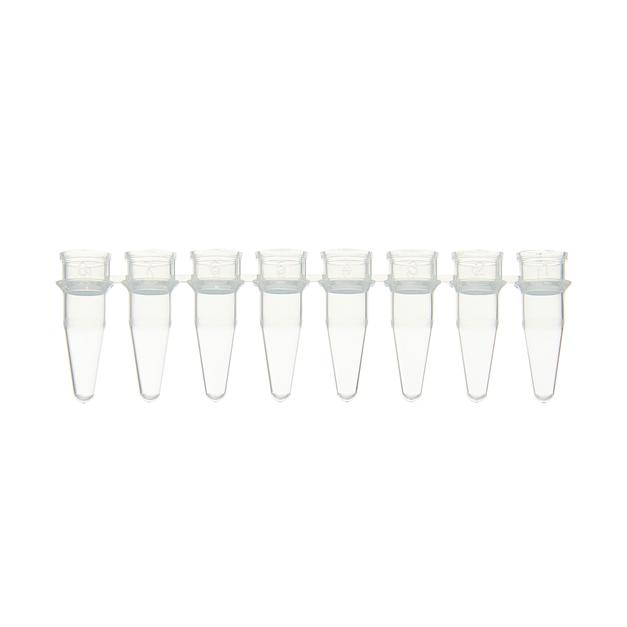PCR 8-spolium tube